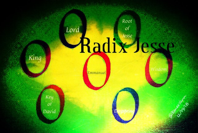 Radix Jesse