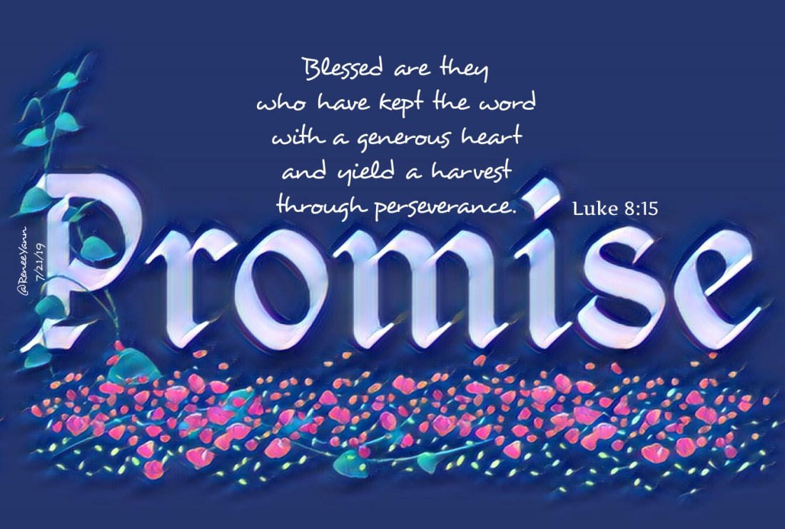 Luke8_15 promise