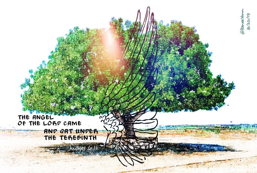 Judges6_11 terebinth