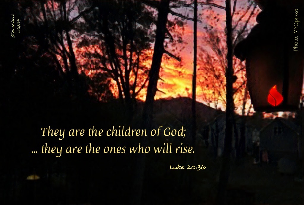 Lk20_36 eternal life