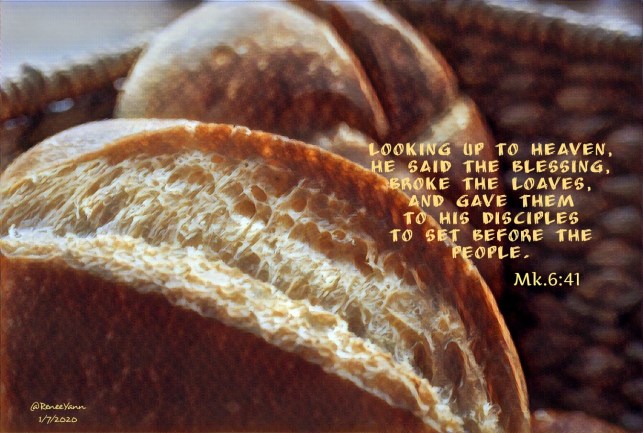 Mk6_4 loaves