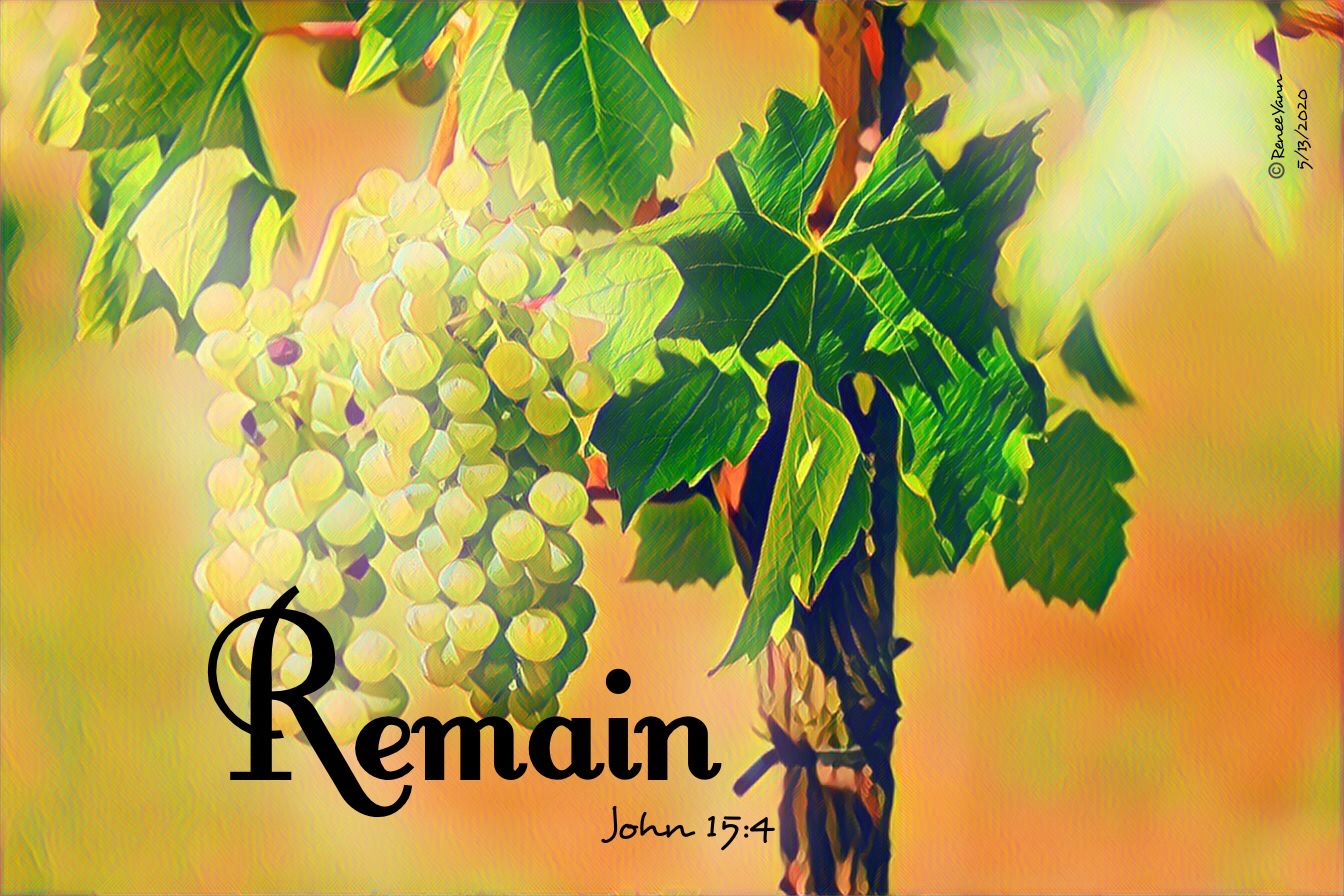John15_4 Remain