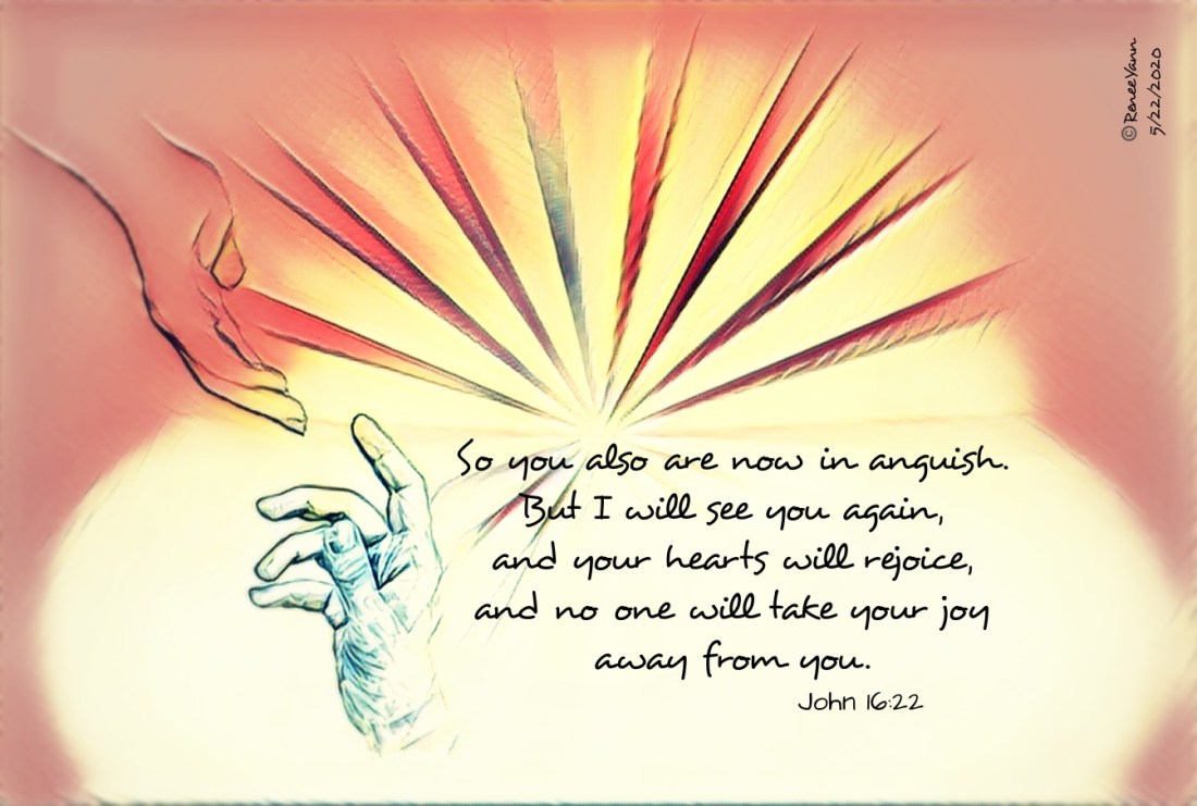 John16_22 separation